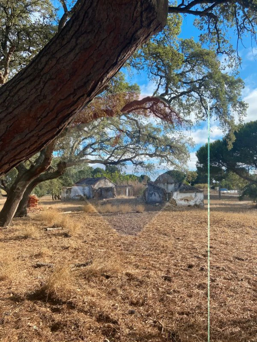 Quinta T0 para Venda em Moita Foto 11