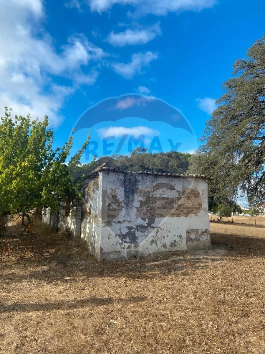 Quinta T0 para Venda em Moita Foto 9