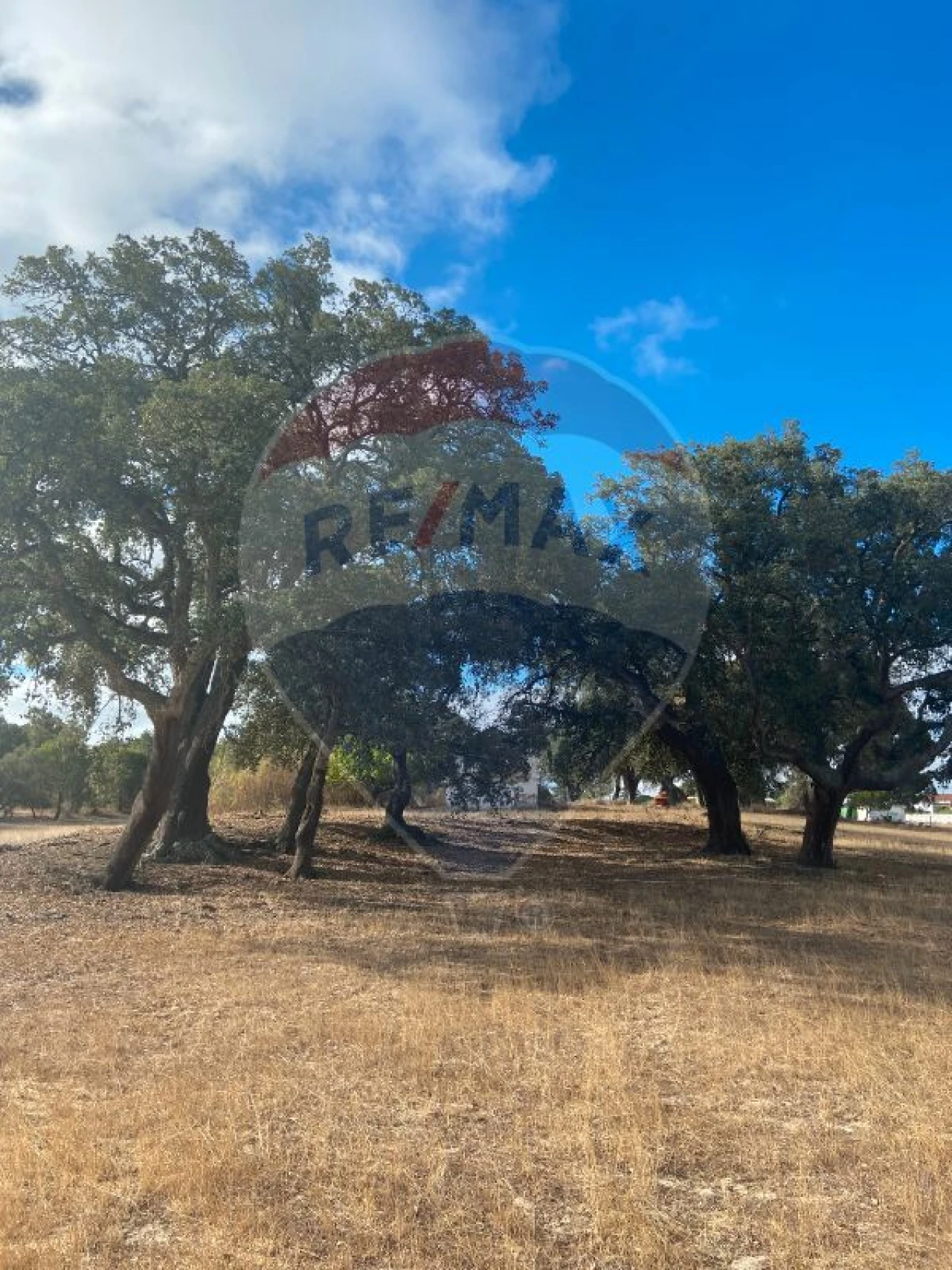 Quinta T0 para Venda em Moita Foto 3