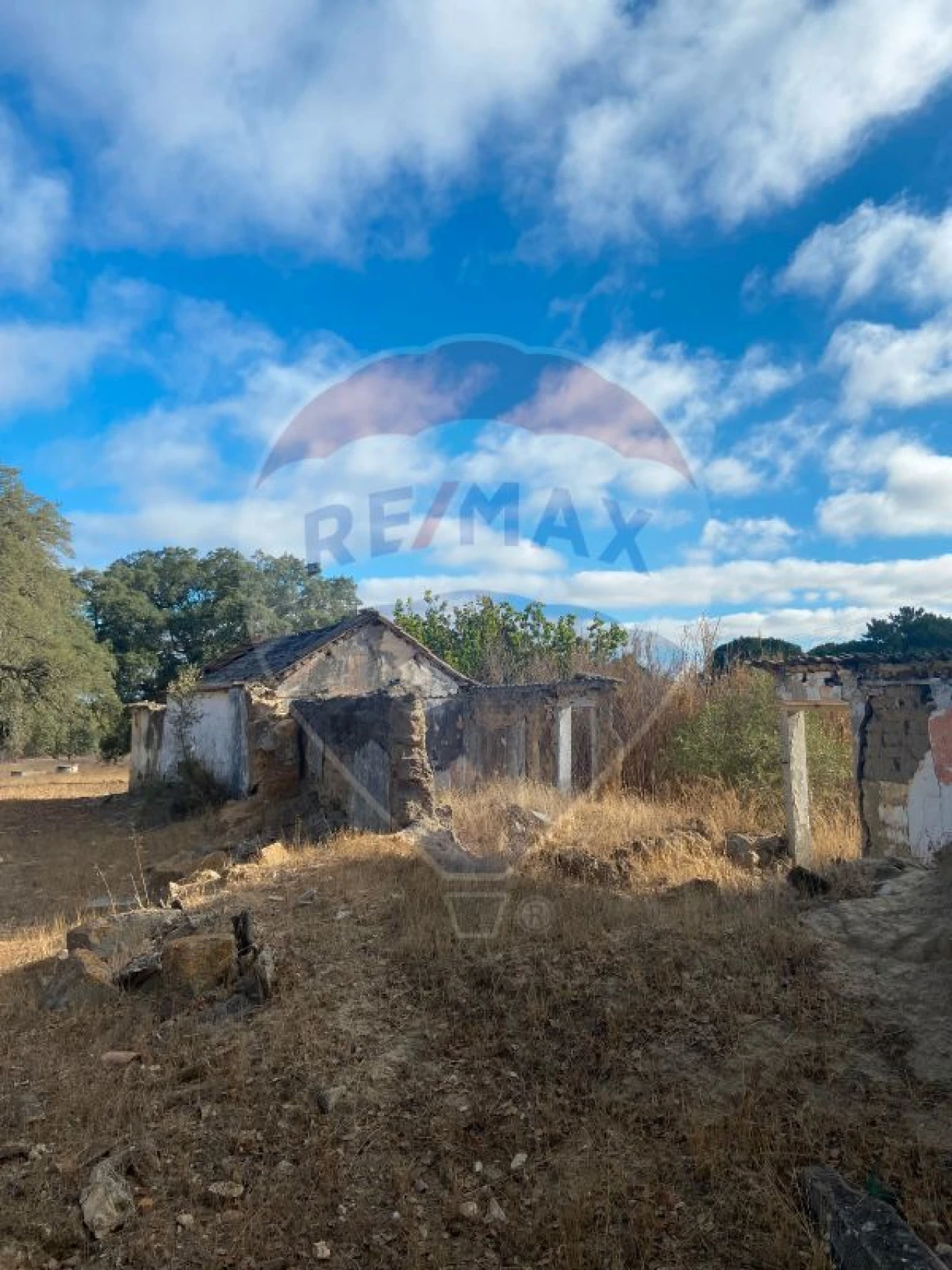 Quinta T0 para Venda em Moita Foto 6