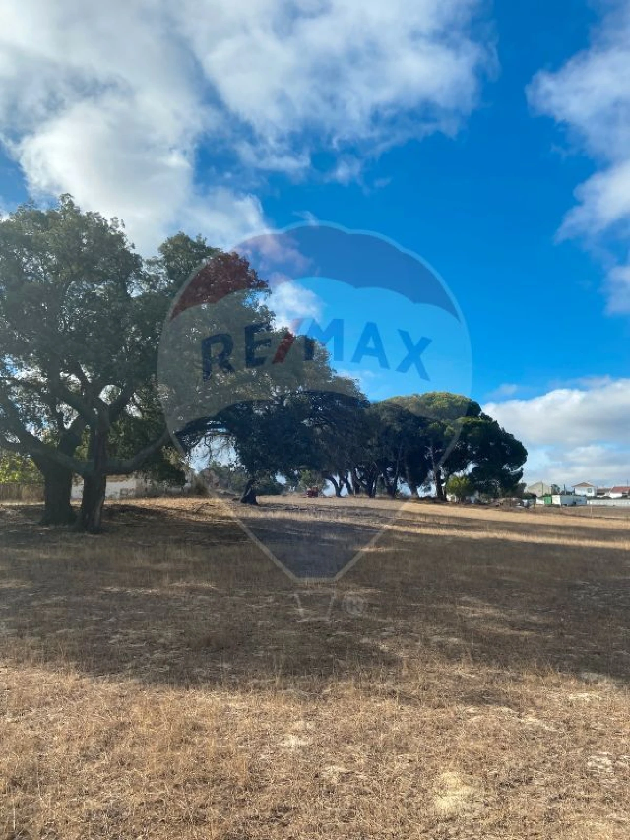 Quinta T0 para Venda em Moita Foto 2