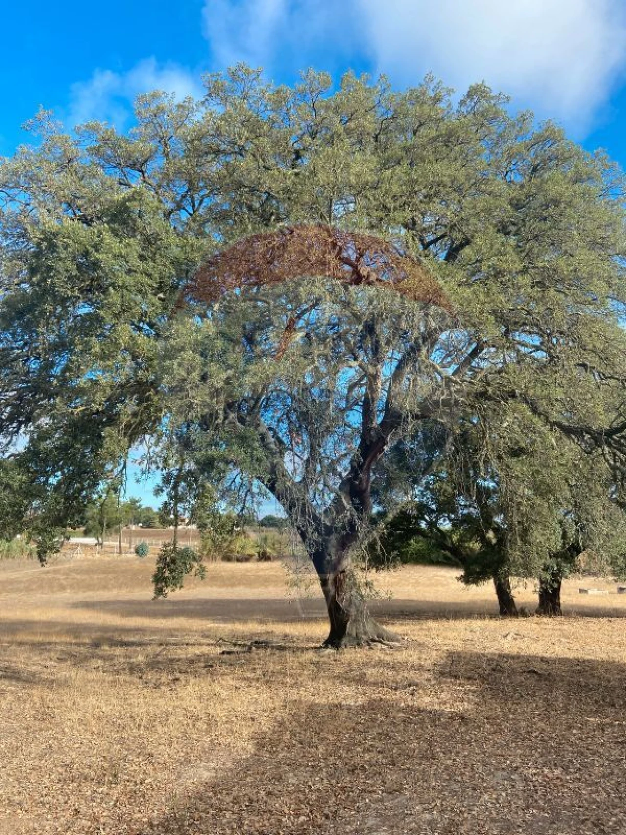 Quinta T0 para Venda em Moita Foto 12
