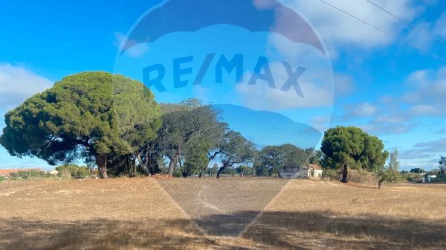 Quinta T0 para Venda em Moita