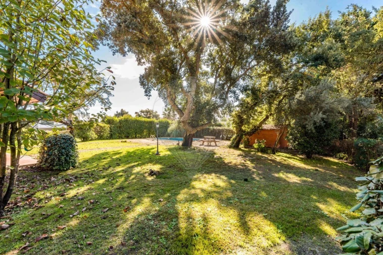 Moradia T3 para Venda em Palmela Foto 9