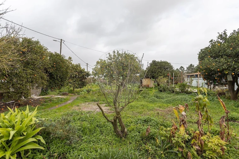 Terreno para Venda em Palmela Foto 32