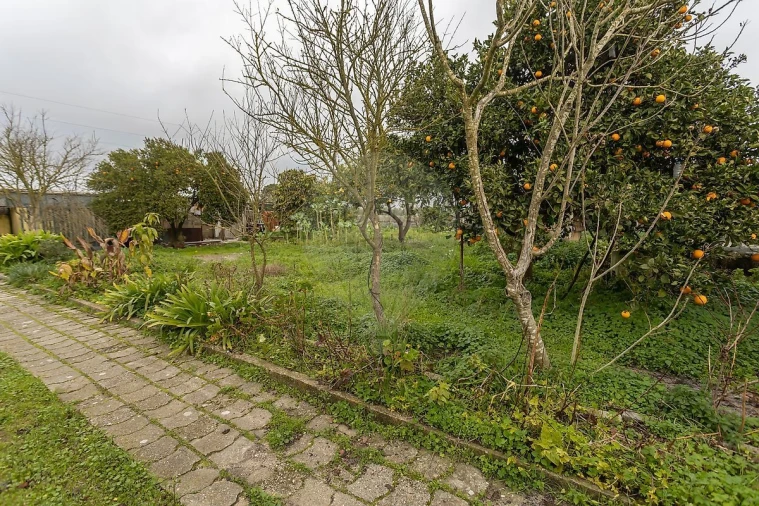 Terreno para Venda em Palmela Foto 33