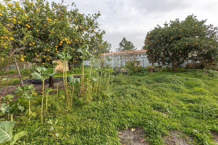 Terreno para Venda em Palmela Foto 34