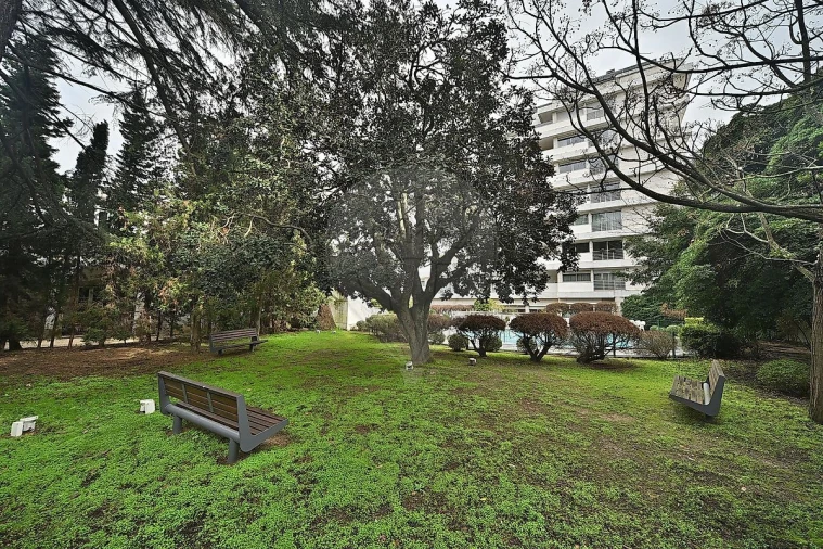 Escritório para Venda em Lumiar Foto 34