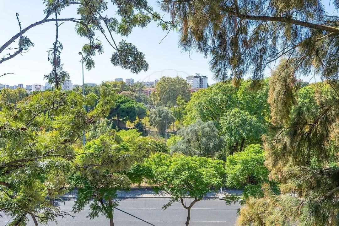 Apartamento T3 para Venda em Olivais Foto 8