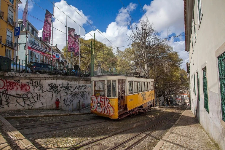 Quinta T1 para Venda em Santa Maria Maior Foto 33
