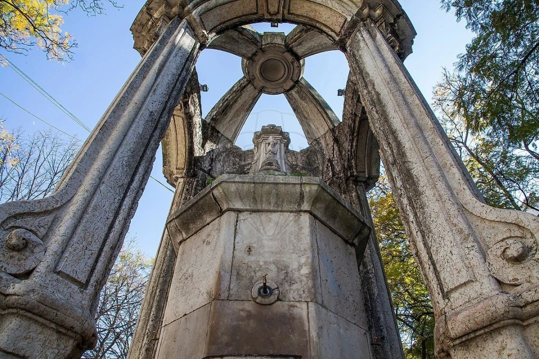 Quinta T1 para Venda em Santa Maria Maior Foto 30