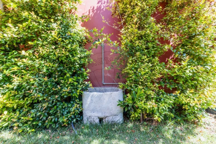 Apartamento T2 para Venda em Estrela Foto 4