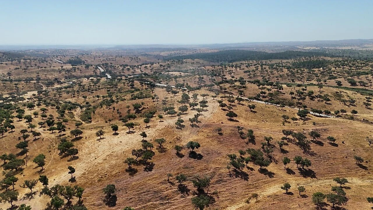 Quinta T4 para Venda em Portel Foto 3