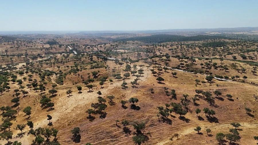 Quinta T4 para Venda em Portel Foto 3