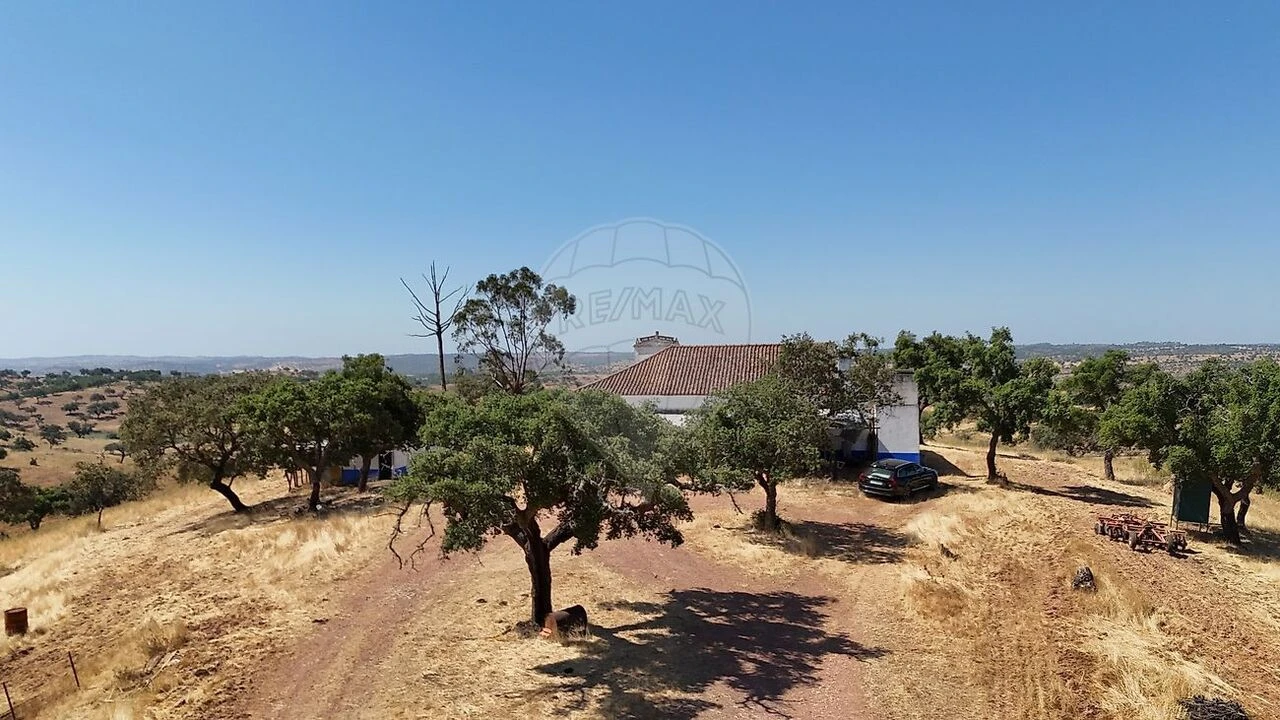 Quinta T4 para Venda em Portel Foto 9