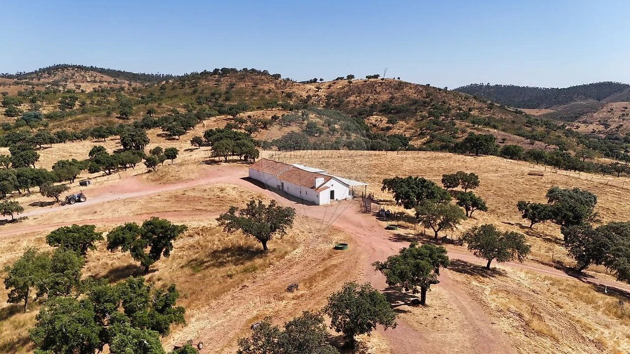 Quinta T4 para Venda em Portel Foto 1