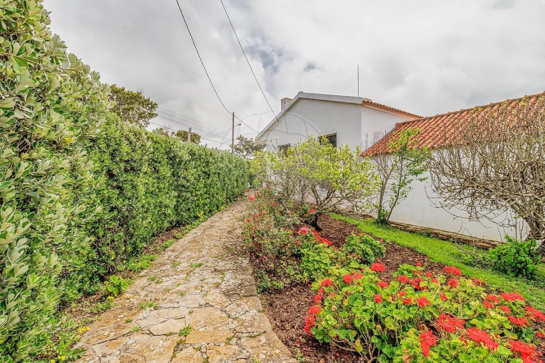 Moradia T3 para Venda em Colares Foto 25