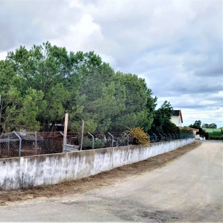 Terreno para Venda em Pinhal Novo Foto 6