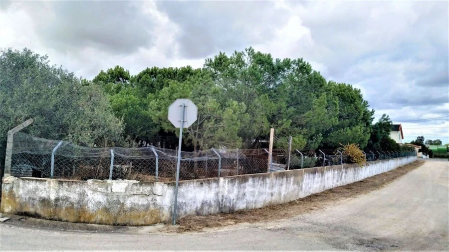 Terreno para Venda em Pinhal Novo Foto 2