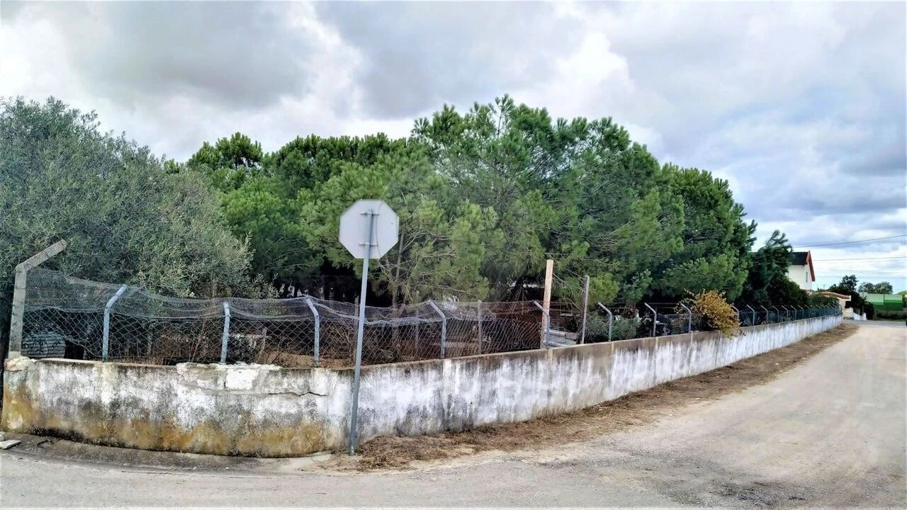 Terreno para Venda em Pinhal Novo Foto 3