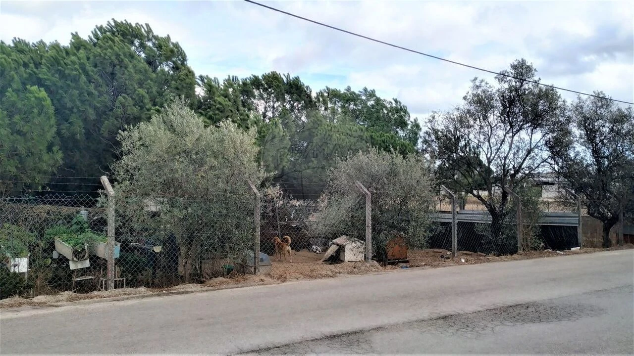 Terreno para Venda em Pinhal Novo Foto 9