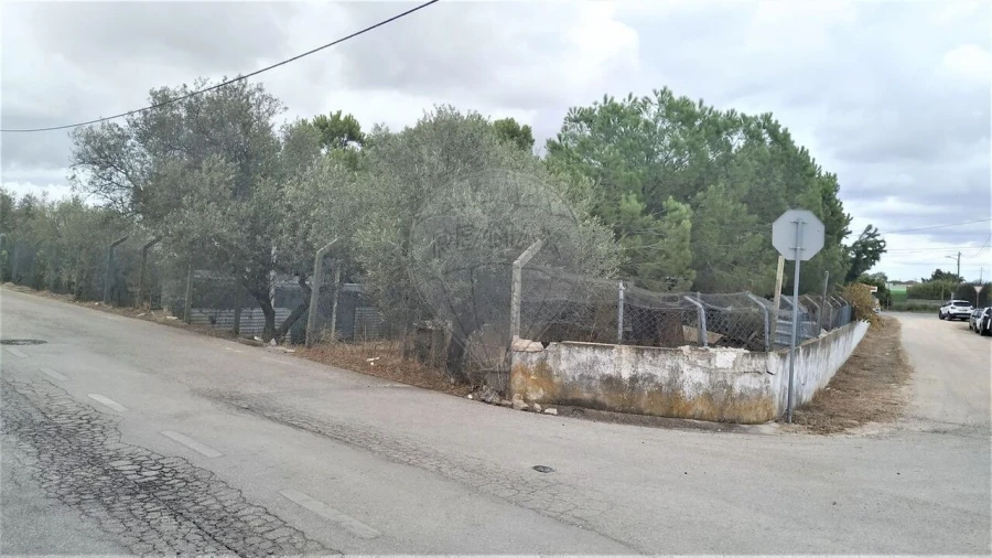 Terreno para Venda em Pinhal Novo Foto 7