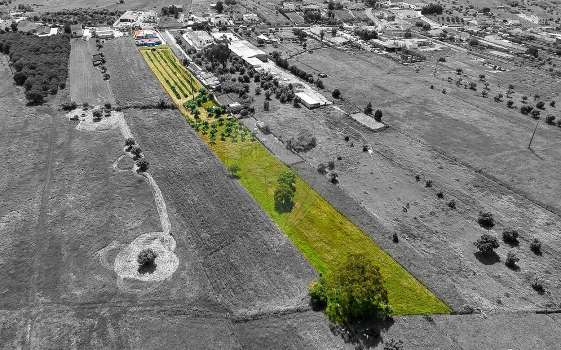 Moradia T5 para Venda em Riachos Foto 50