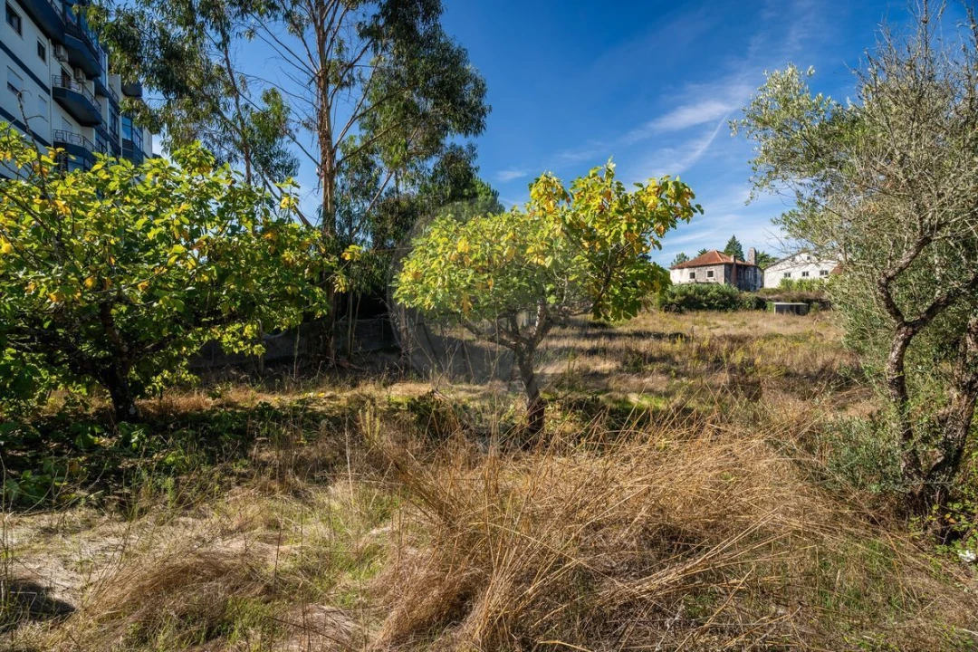 Terreno para Venda em Fatima Foto 17