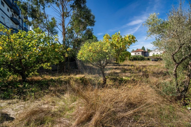 Terreno para Venda em Fatima Foto 17