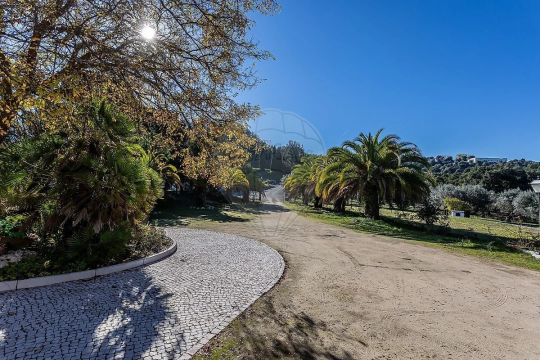 Quinta T5 para Venda em Povoa da Isenta Foto 4