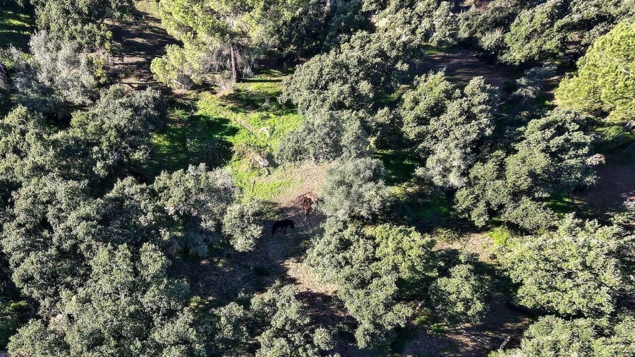 Quinta T5 para Venda em Povoa da Isenta Foto 35