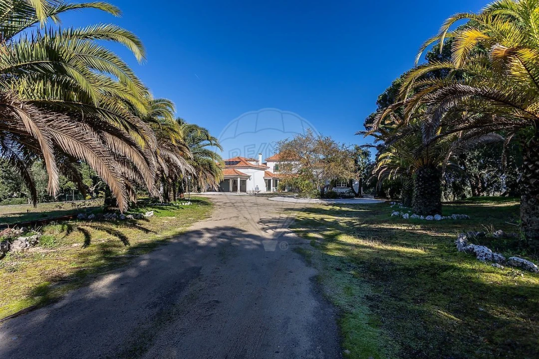 Quinta T5 para Venda em Povoa da Isenta Foto 3