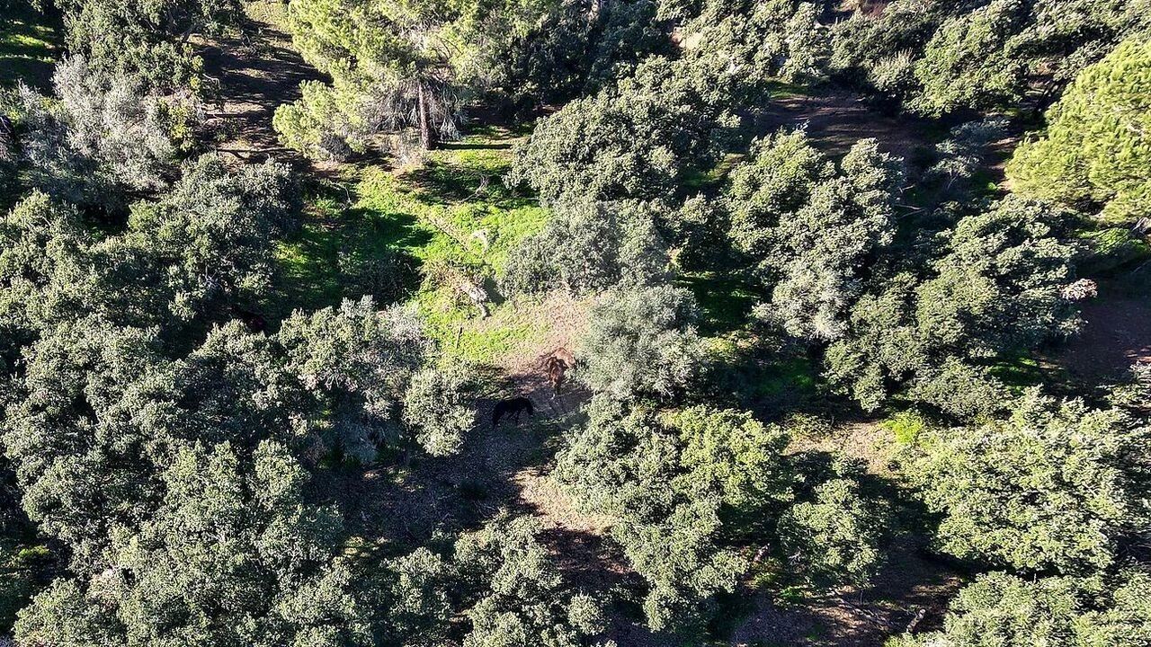 Quinta T5 para Venda em Povoa da Isenta Foto 35