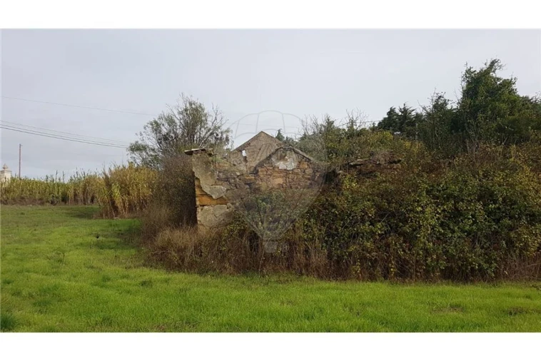 Terreno para Venda em Arruda dos Vinhos Foto 4