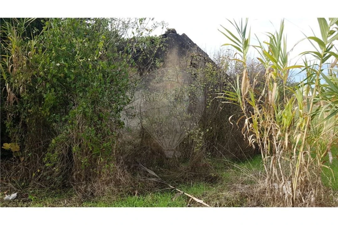 Terreno para Venda em Arruda dos Vinhos Foto 3