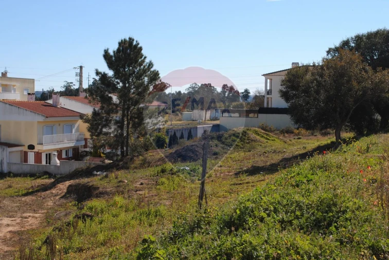 Terreno para Venda em Marvila, Ribeira Santarém, São Salvador, São Nicolau Foto 6