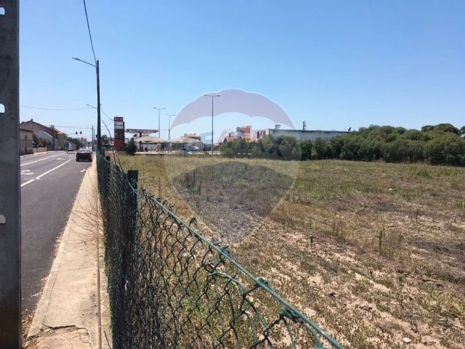 Terreno para Venda em Alpiarça Foto 4
