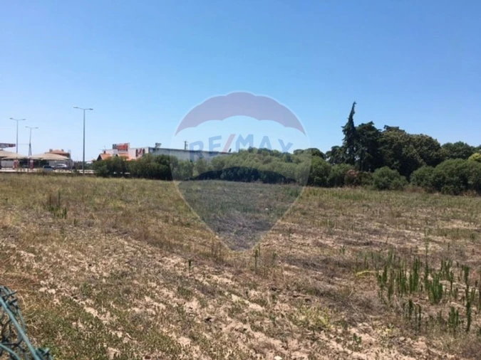 Terreno para Venda em Alpiarça Foto 6