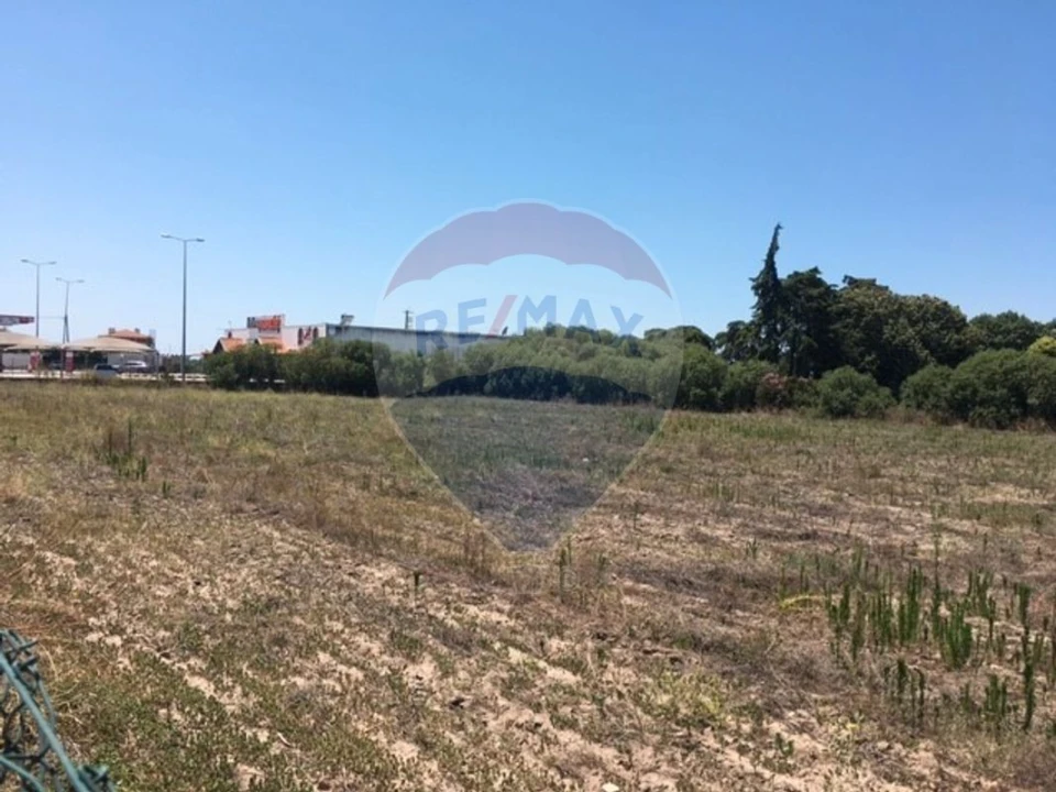 Terreno para Venda em Alpiarça Foto 6