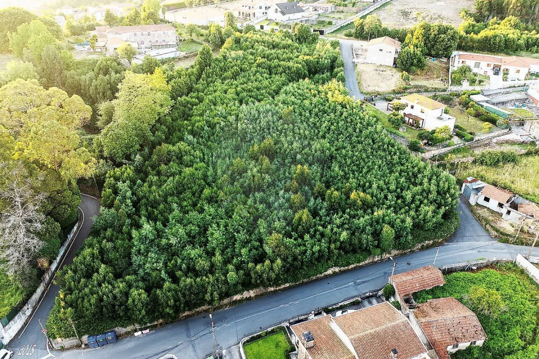 Terreno para Venda em Mozelos Foto 2