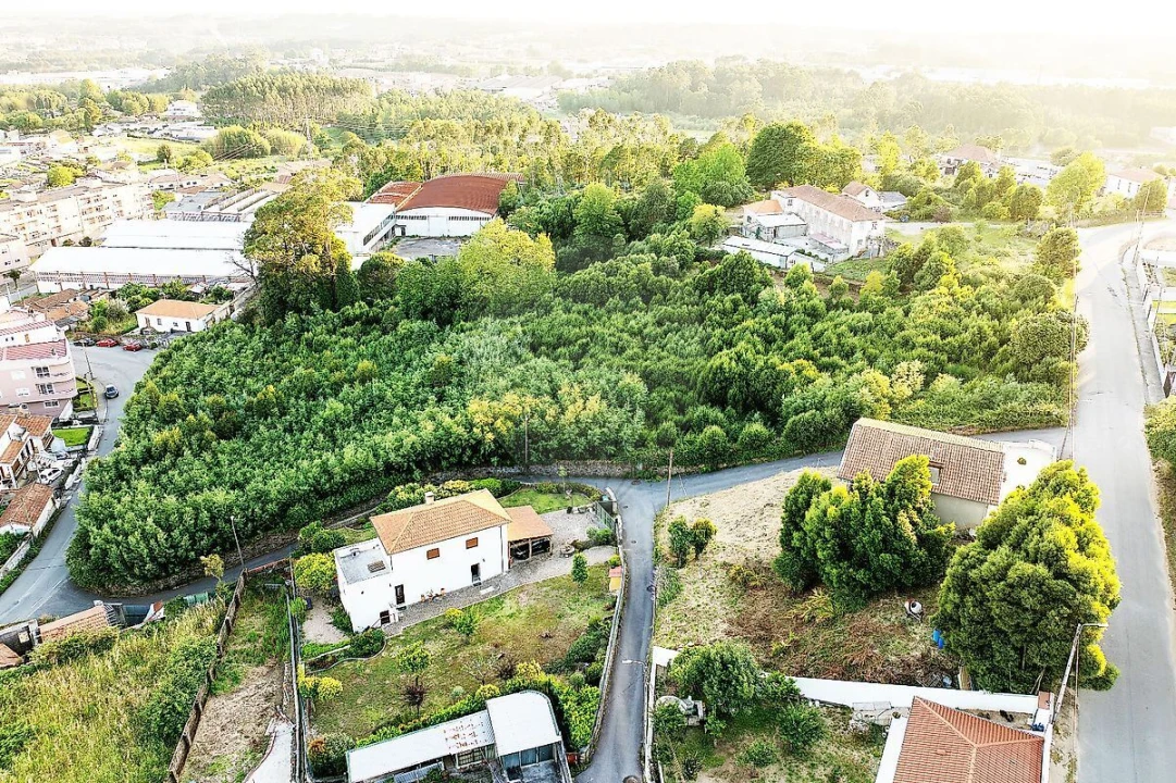 Terreno para Venda em Mozelos Foto 3