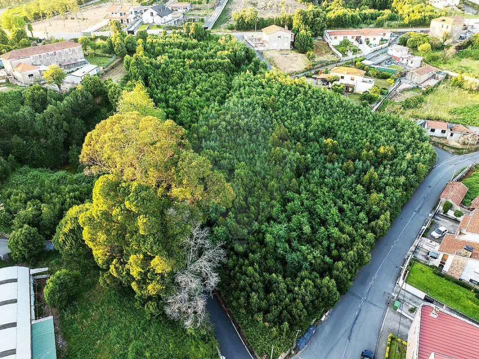 Terreno para Venda em Mozelos Foto 1