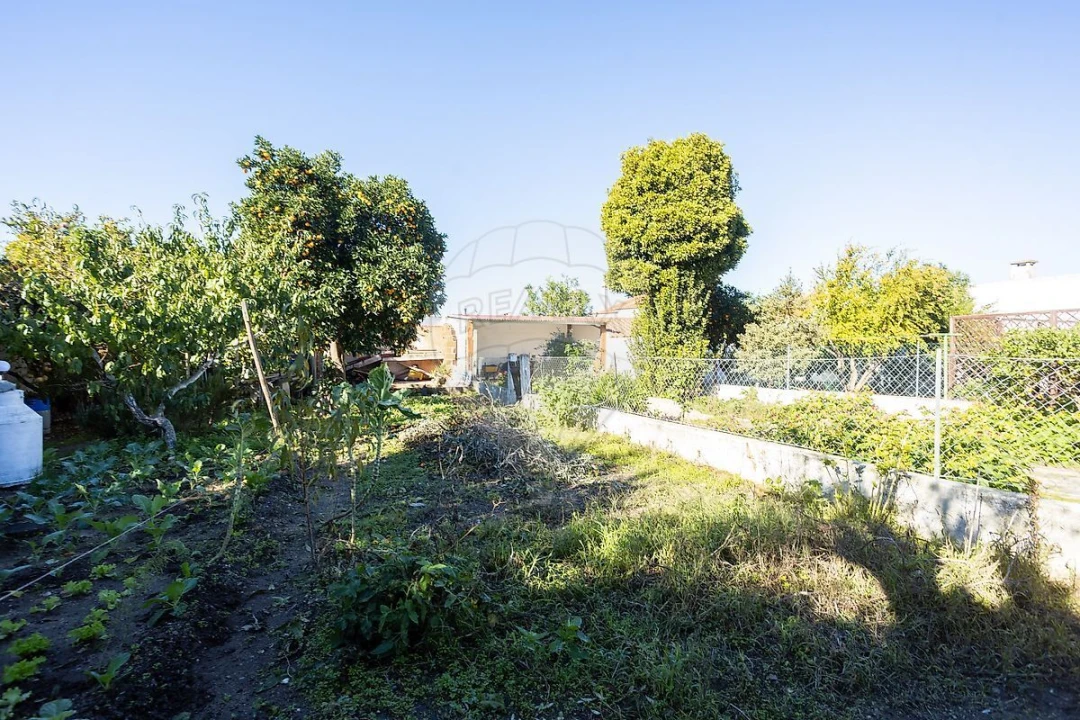 Moradia T3 para Venda em Couço Foto 22