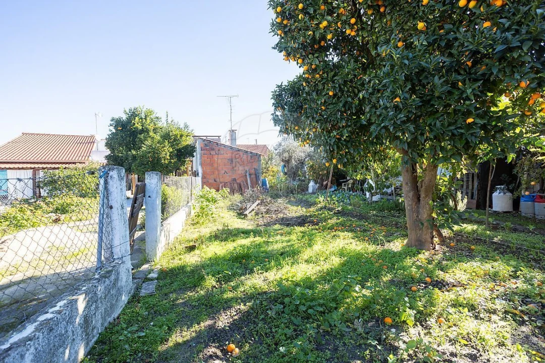 Moradia T3 para Venda em Couço Foto 23