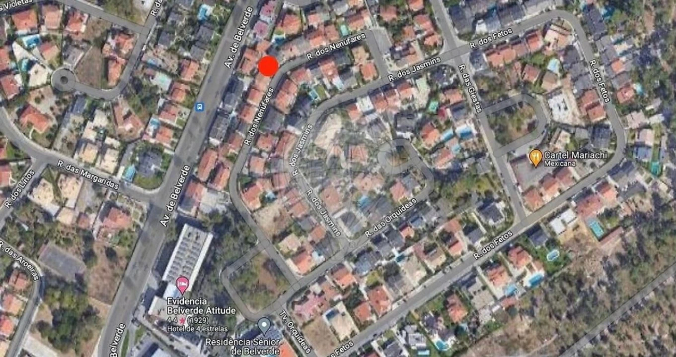 Terreno para Venda em Amora Foto 10