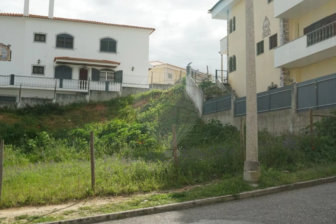 Terreno para Venda em Amora Foto 3