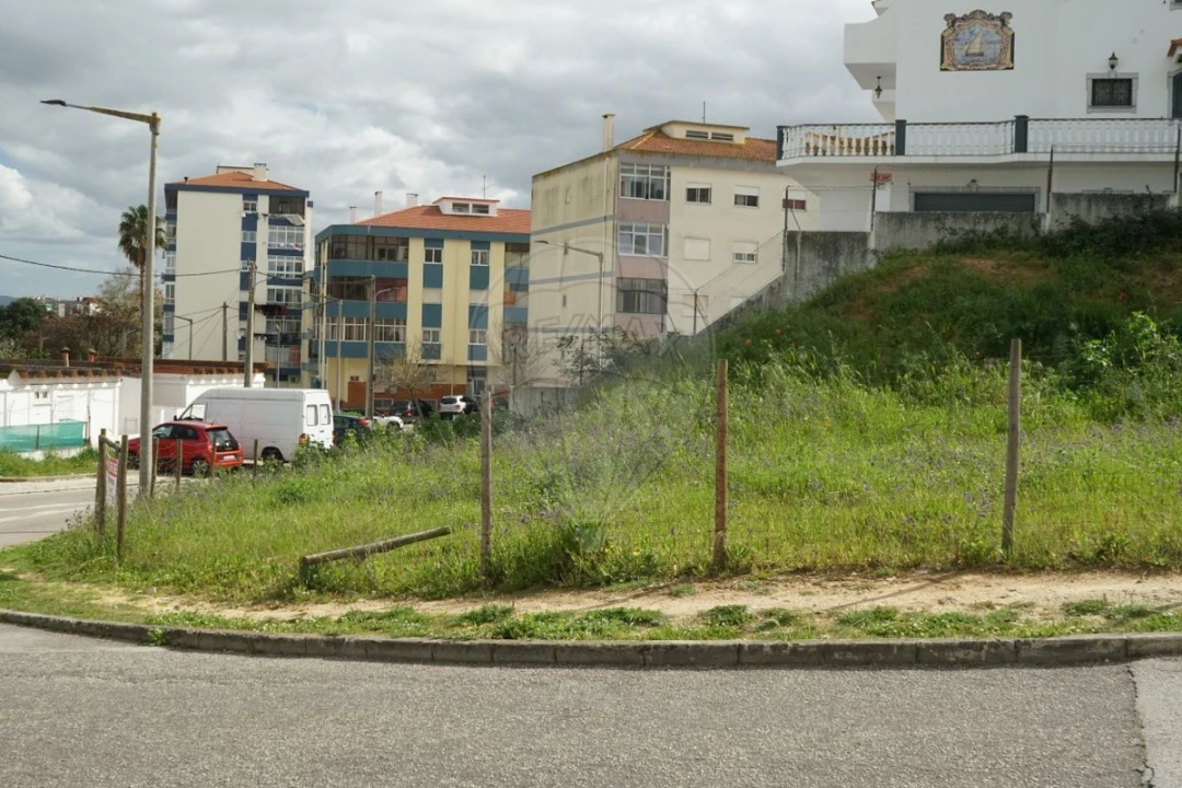Terreno para Venda em Amora Foto 4