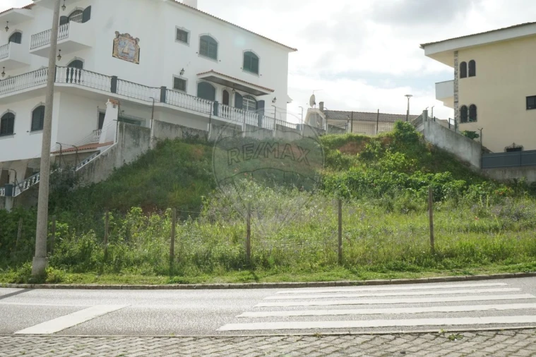 Terreno para Venda em Amora Foto 1