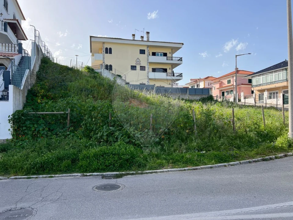 Terreno para Venda em Amora Foto 5