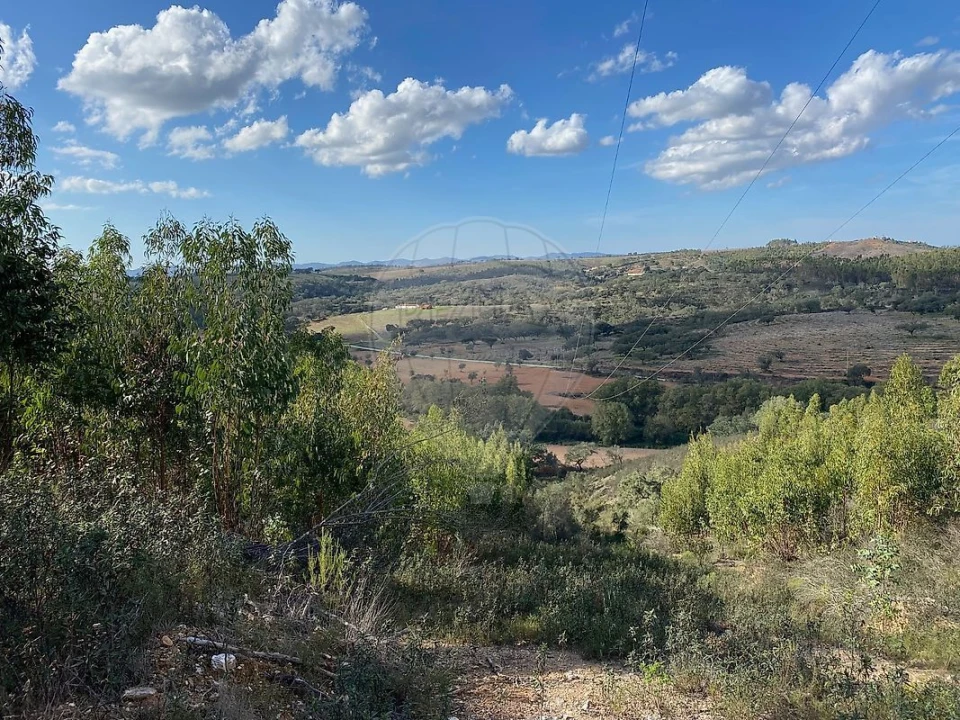 Quinta T2 para Venda em Reliquias Foto 9